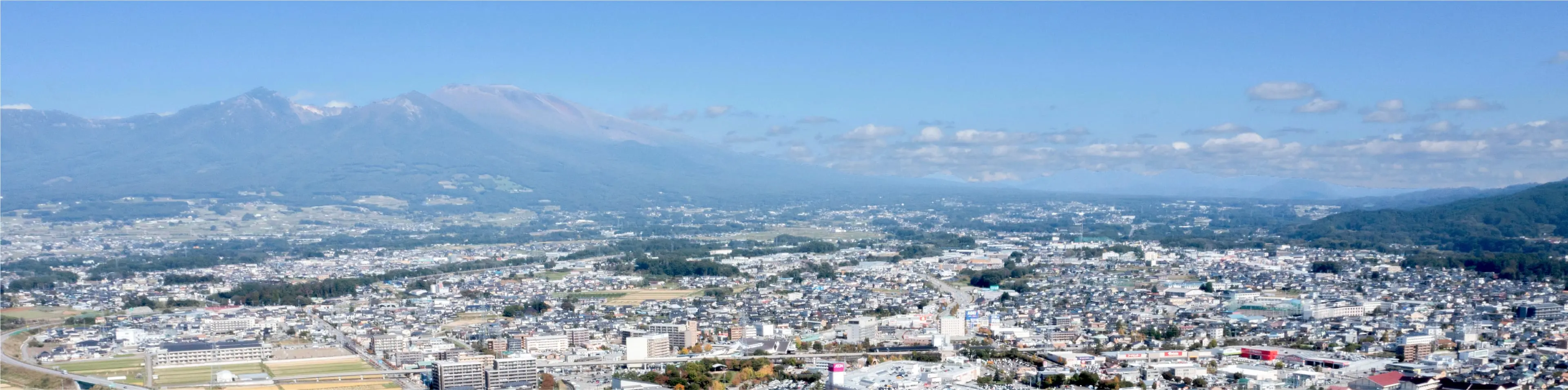 薬を整理している写真